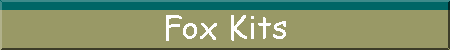 Fox Kits