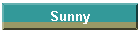 Sunny