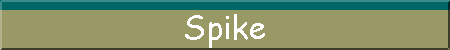 Spike