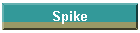 Spike