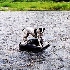 Winnie Tubing Down The River